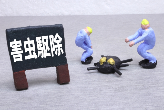 賃貸　入居前　ゴキブリ