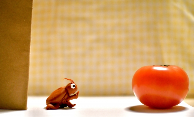 賃貸　ゴキブリ　解約